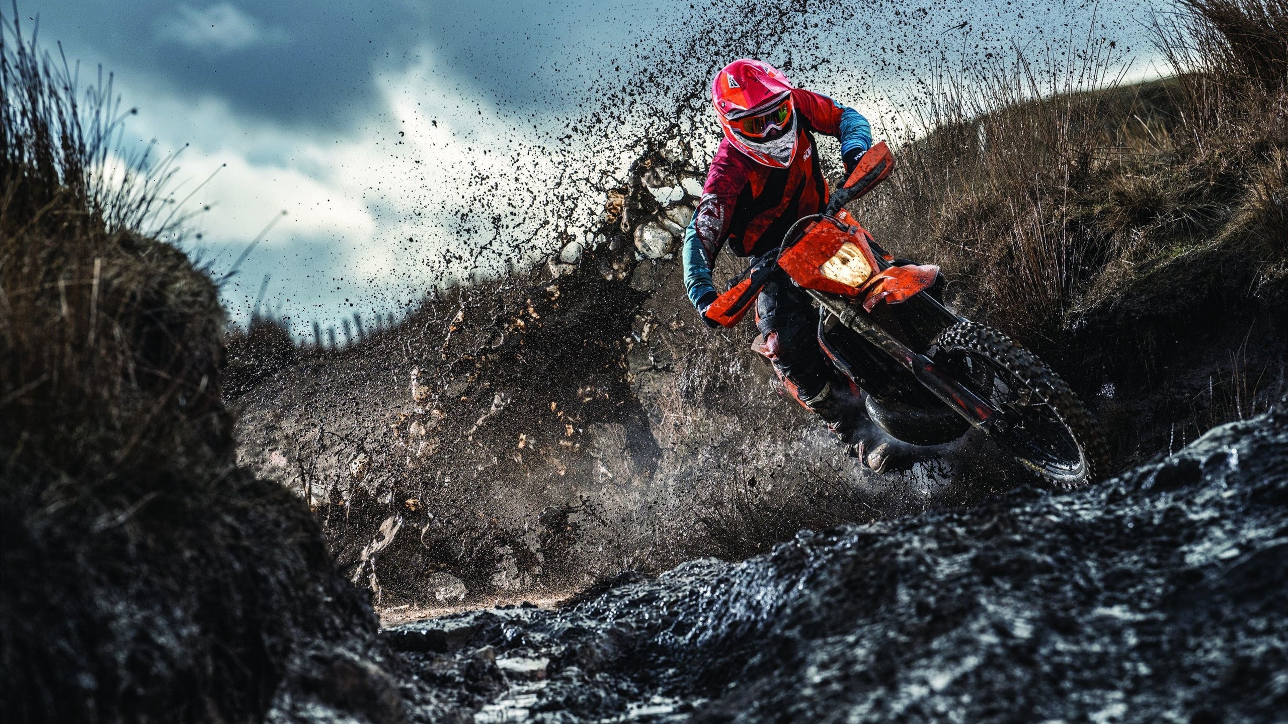 “2025世界游泳锦标赛:水上芭蕾展示别样优雅与力量”